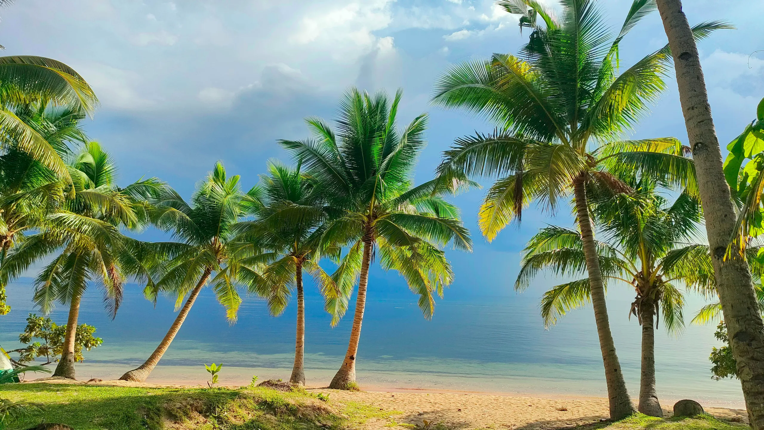 Harry Hidayat Web Wallpaper